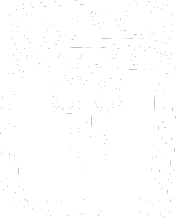 live shows button
